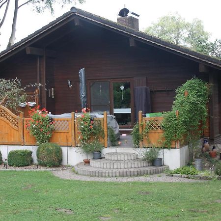 Ferienhaus Buchenblick Ankelohe Ngoại thất bức ảnh